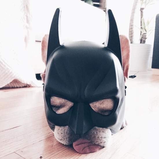 Bildschirmarbeiter - Picdump 27.11.2015