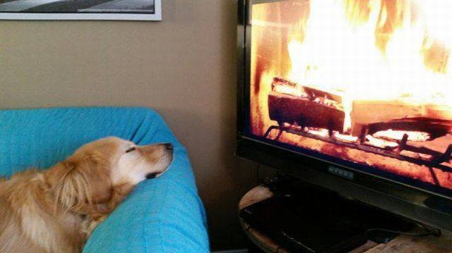 Bildschirmarbeiter - Picdump 04.12.2015