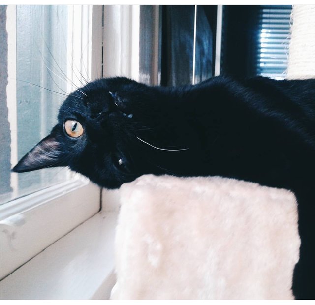 Bildschirmarbeiter - Picdump 04.12.2015