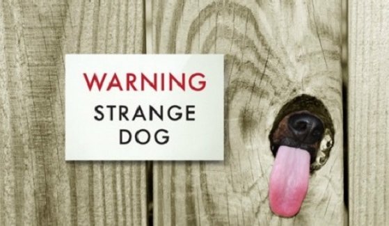 Bildschirmarbeiter - Picdump 18.12.2015