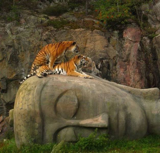 Bildschirmarbeiter - Picdump 18.12.2015