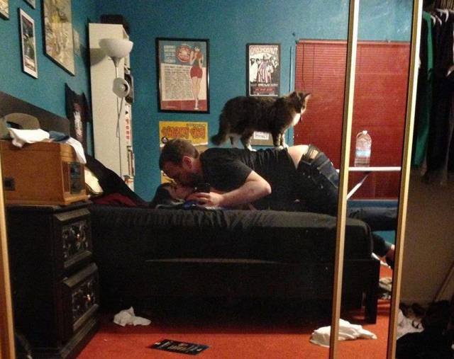 Bildschirmarbeiter - Picdump 18.12.2015