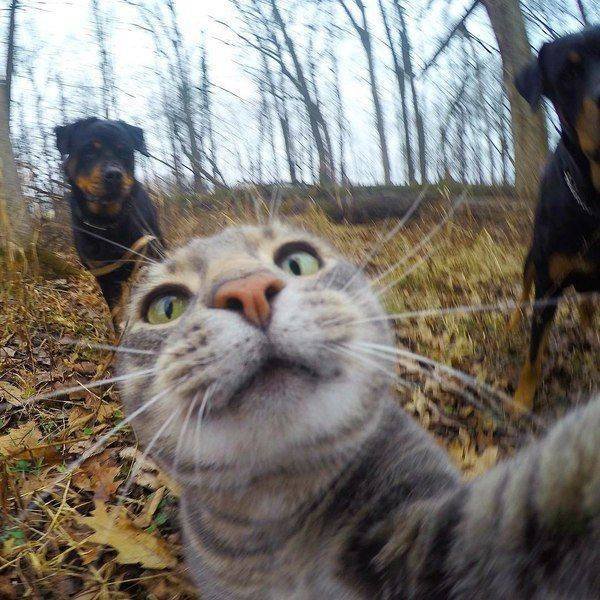 Bildschirmarbeiter - Picdump 18.12.2015