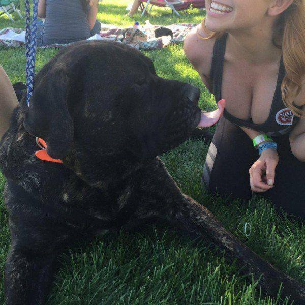 Bildschirmarbeiter - Picdump 18.12.2015