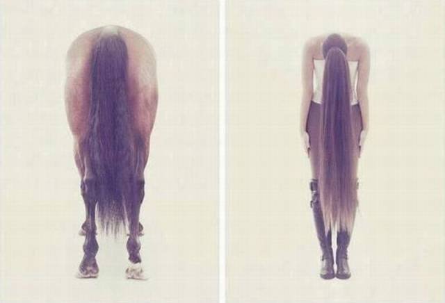 Bildschirmarbeiter - Picdump 18.12.2015