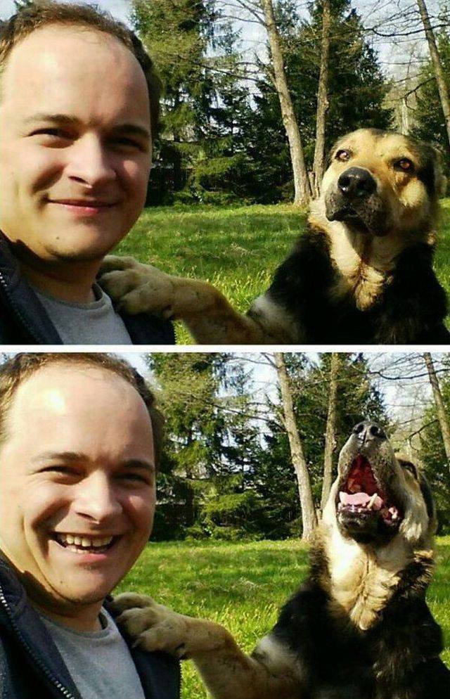 Bildschirmarbeiter - Picdump 18.12.2015