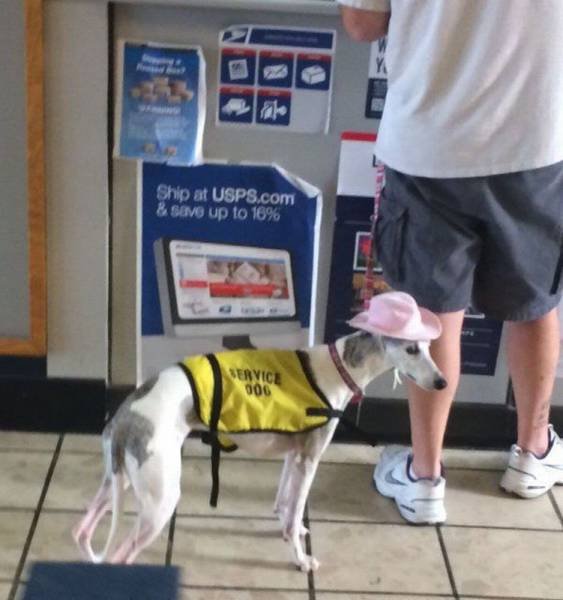 Bildschirmarbeiter - Picdump 18.12.2015