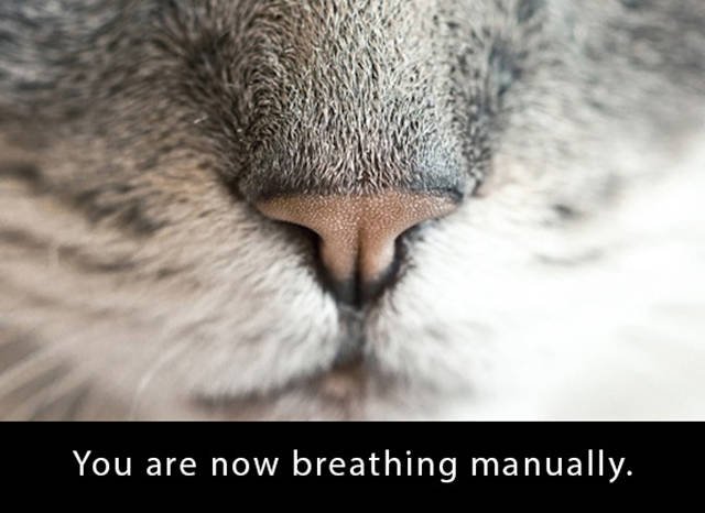 Bildschirmarbeiter - Picdump 18.12.2015