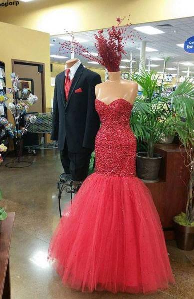 Bildschirmarbeiter - Picdump 18.12.2015