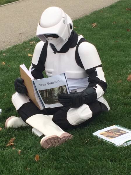 Bildschirmarbeiter - Picdump 18.12.2015