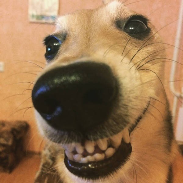 Bildschirmarbeiter - Picdump 18.12.2015