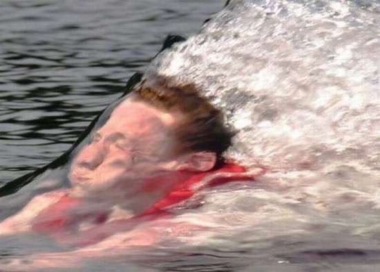 Bildschirmarbeiter - Picdump 18.12.2015