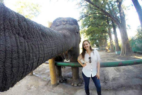 Bildschirmarbeiter - Picdump 18.12.2015