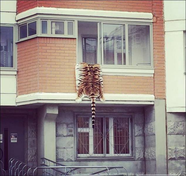 Bildschirmarbeiter - Picdump 24.12.2015