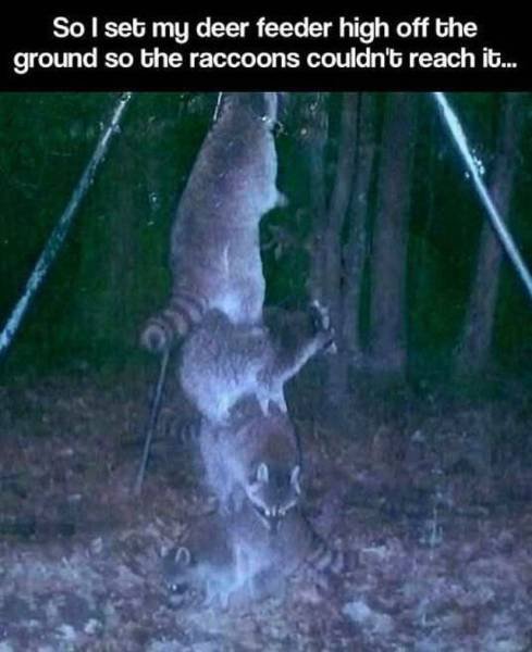 Bildschirmarbeiter - Picdump 24.12.2015