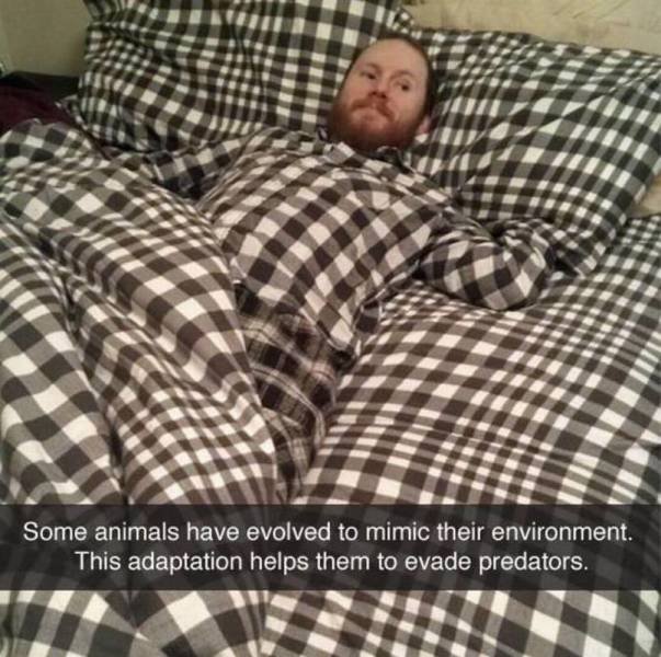 Bildschirmarbeiter - Picdump 24.12.2015