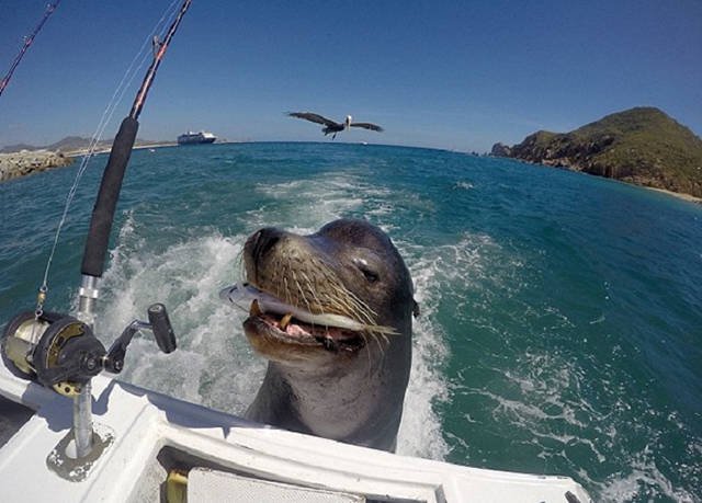 Bildschirmarbeiter - Picdump 24.12.2015