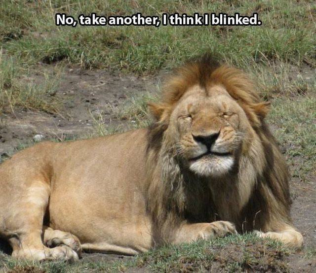 Bildschirmarbeiter - Picdump 24.12.2015