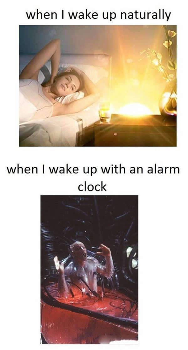 Bildschirmarbeiter - Picdump 24.12.2015