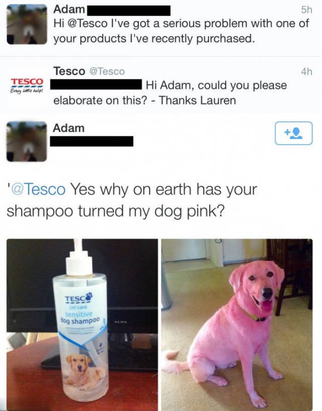 Bildschirmarbeiter - Picdump 24.12.2015