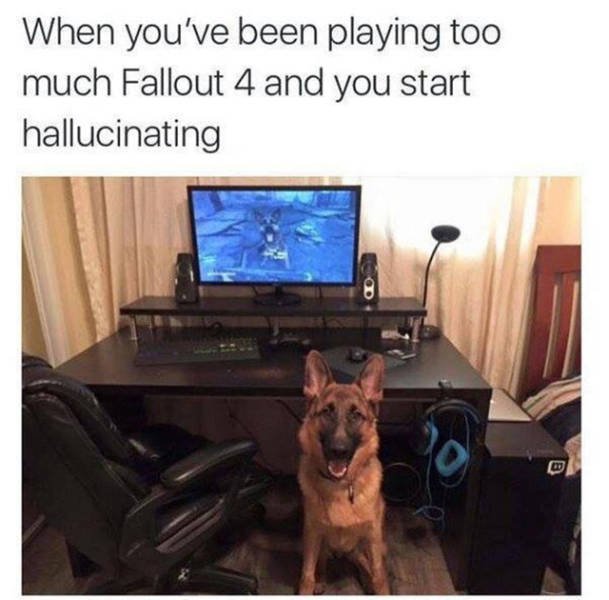 Bildschirmarbeiter - Picdump 24.12.2015