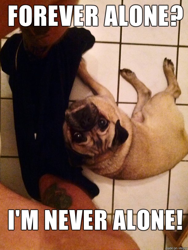 Bildschirmarbeiter - Picdump 24.12.2015