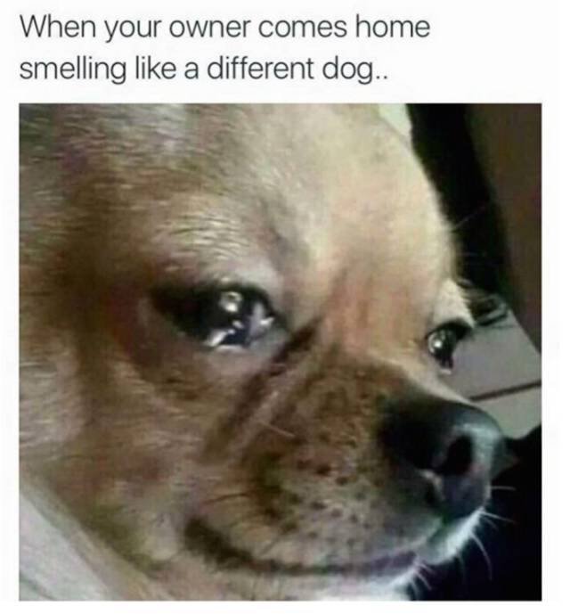 Bildschirmarbeiter - Picdump 22.01.2016