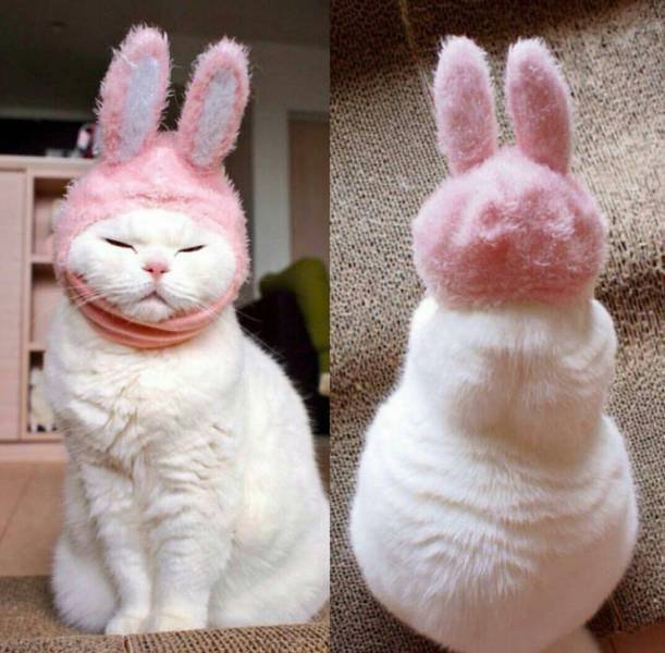 Bildschirmarbeiter - Picdump 22.01.2016