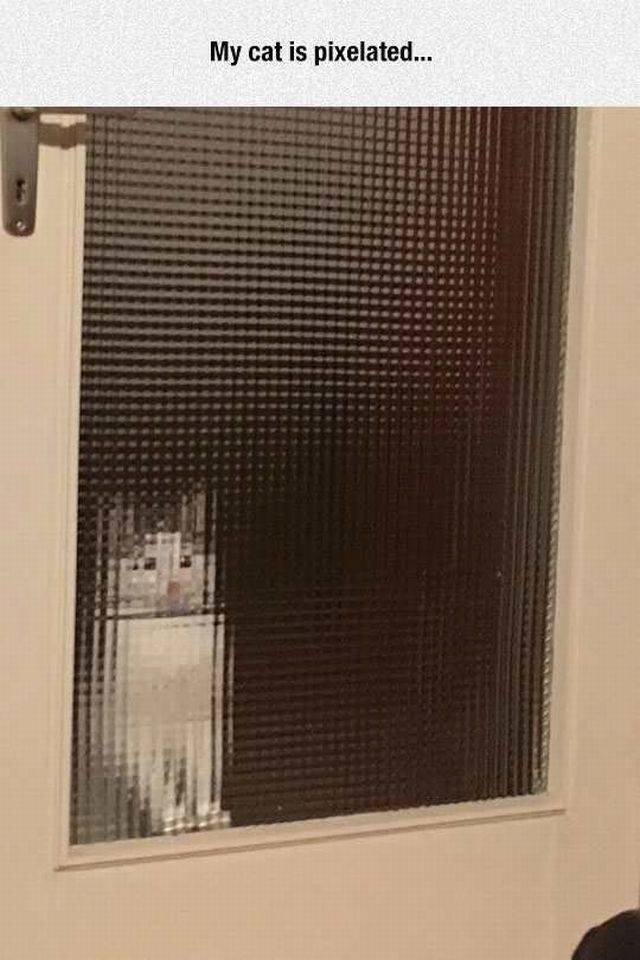 Bildschirmarbeiter - Picdump 22.01.2016