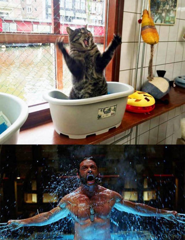 Bildschirmarbeiter - Picdump 22.01.2016