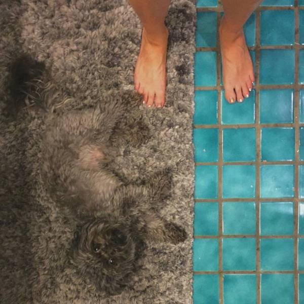 Bildschirmarbeiter - Picdump 22.01.2016