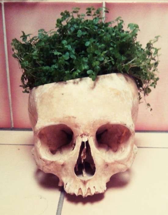 Bildschirmarbeiter - Picdump 22.01.2016