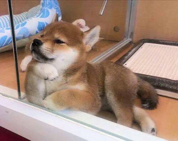 Bildschirmarbeiter - Picdump 22.01.2016