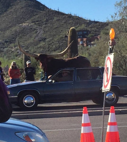 Bildschirmarbeiter - Picdump 22.01.2016