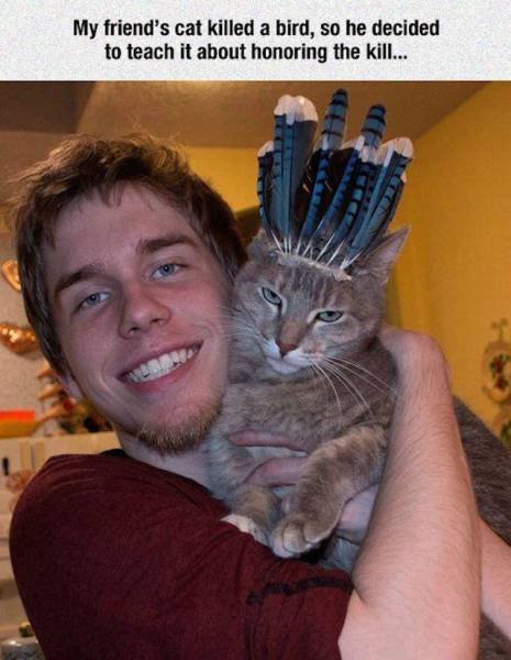 Bildschirmarbeiter - Picdump 29.01.2016