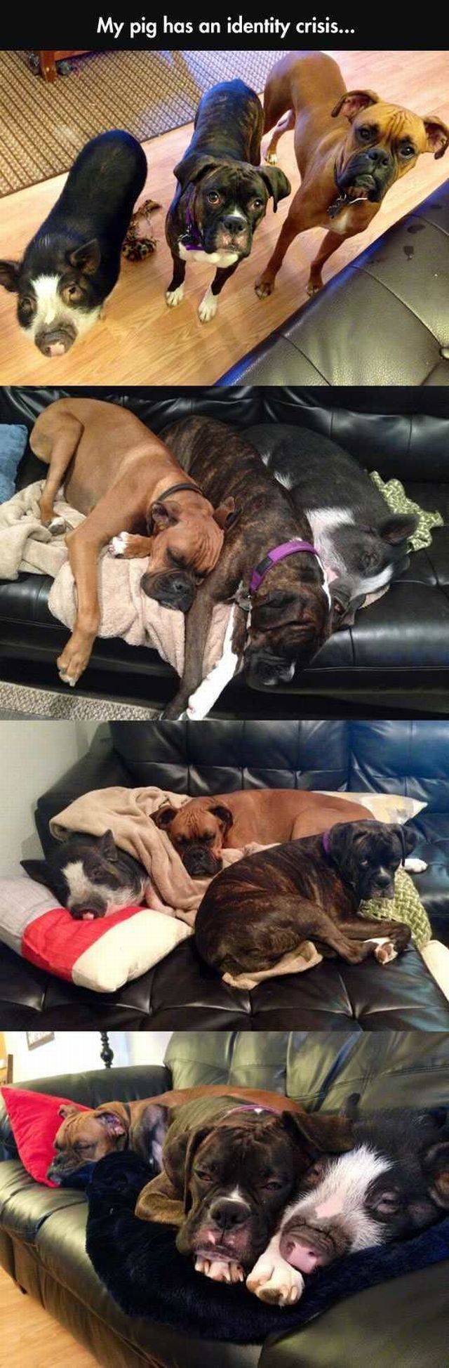 Bildschirmarbeiter - Picdump 29.01.2016