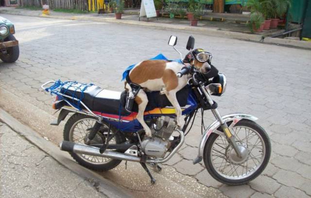 Bildschirmarbeiter - Picdump 29.01.2016