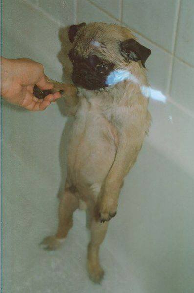 Bildschirmarbeiter - Picdump 29.01.2016