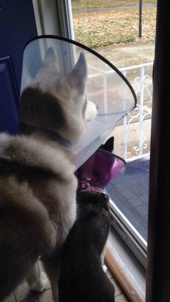 Bildschirmarbeiter - Picdump 29.01.2016