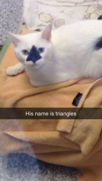 Bildschirmarbeiter - Picdump 29.01.2016