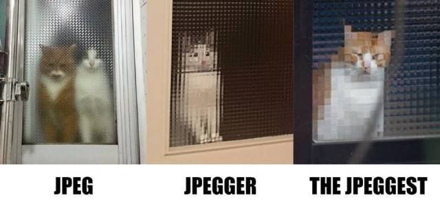 Bildschirmarbeiter - Picdump 29.01.2016