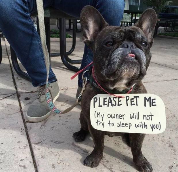 Bildschirmarbeiter - Picdump 29.01.2016