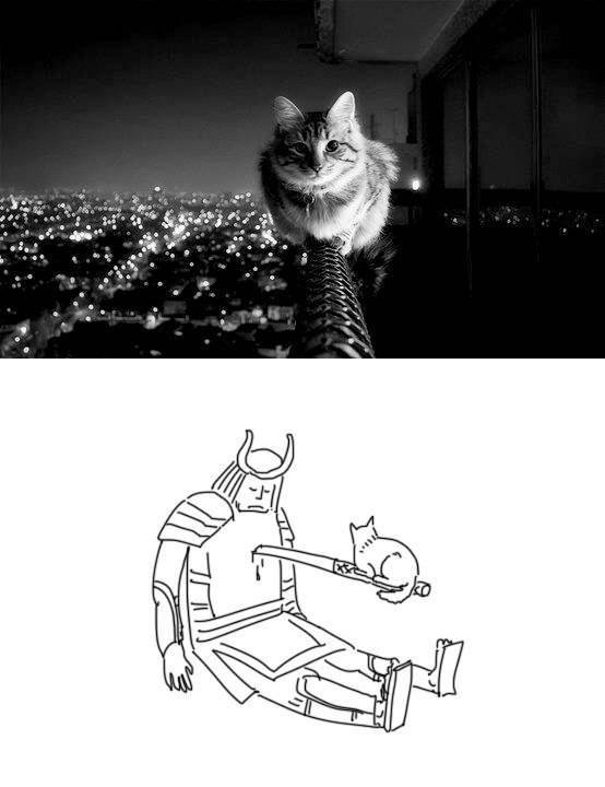 Bildschirmarbeiter - Picdump 29.01.2016