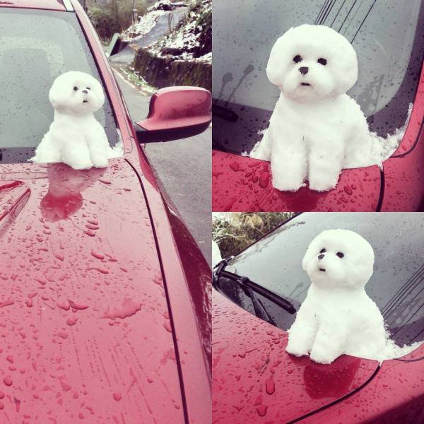 Bildschirmarbeiter - Picdump 29.01.2016