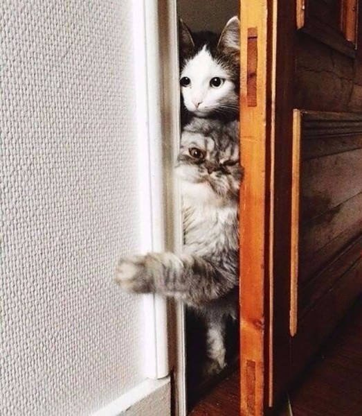 Bildschirmarbeiter - Picdump 29.01.2016