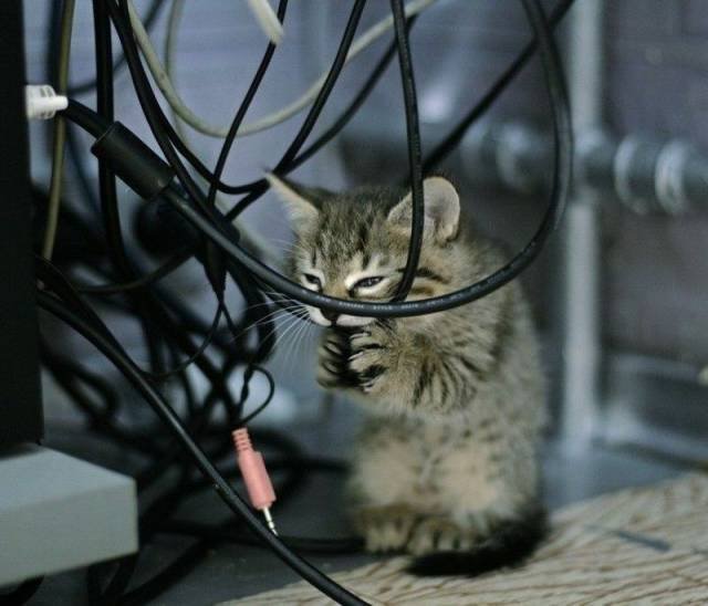 Bildschirmarbeiter - Picdump 12.02.2016