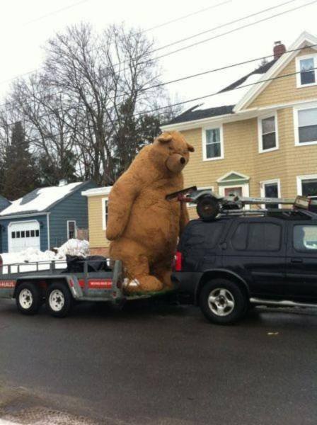 Bildschirmarbeiter - Picdump 12.02.2016