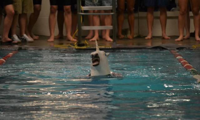 Bildschirmarbeiter - Picdump 12.02.2016