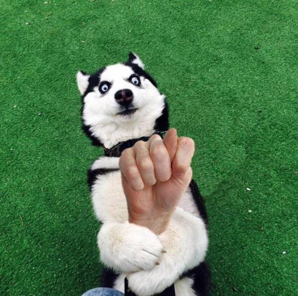 Bildschirmarbeiter - Picdump 12.02.2016