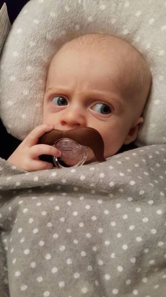 Bildschirmarbeiter - Picdump 12.02.2016